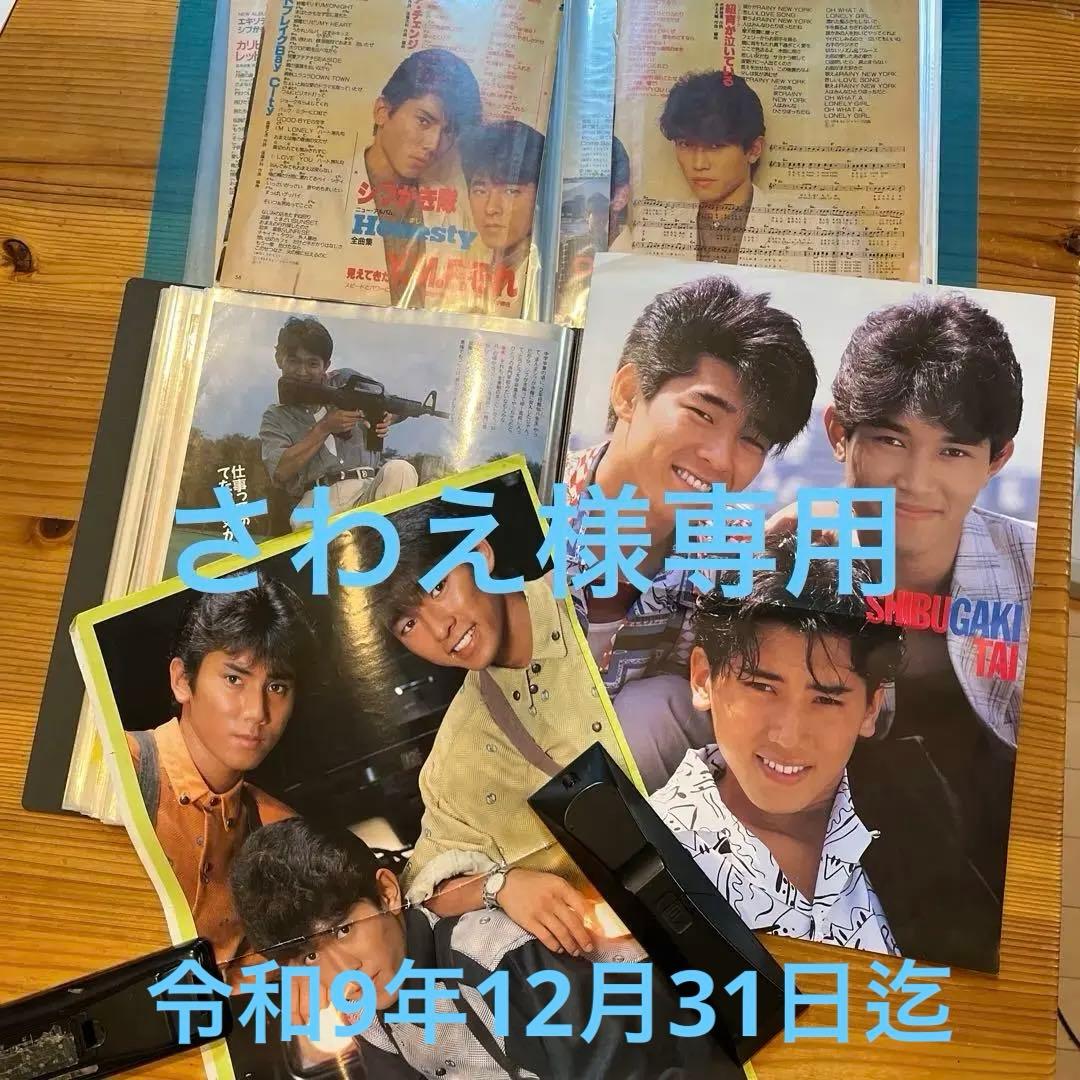 シブガキ隊　雑誌切り抜き　ファイル2冊　大量　超レアヤンソン♪ 他ポスター3枚