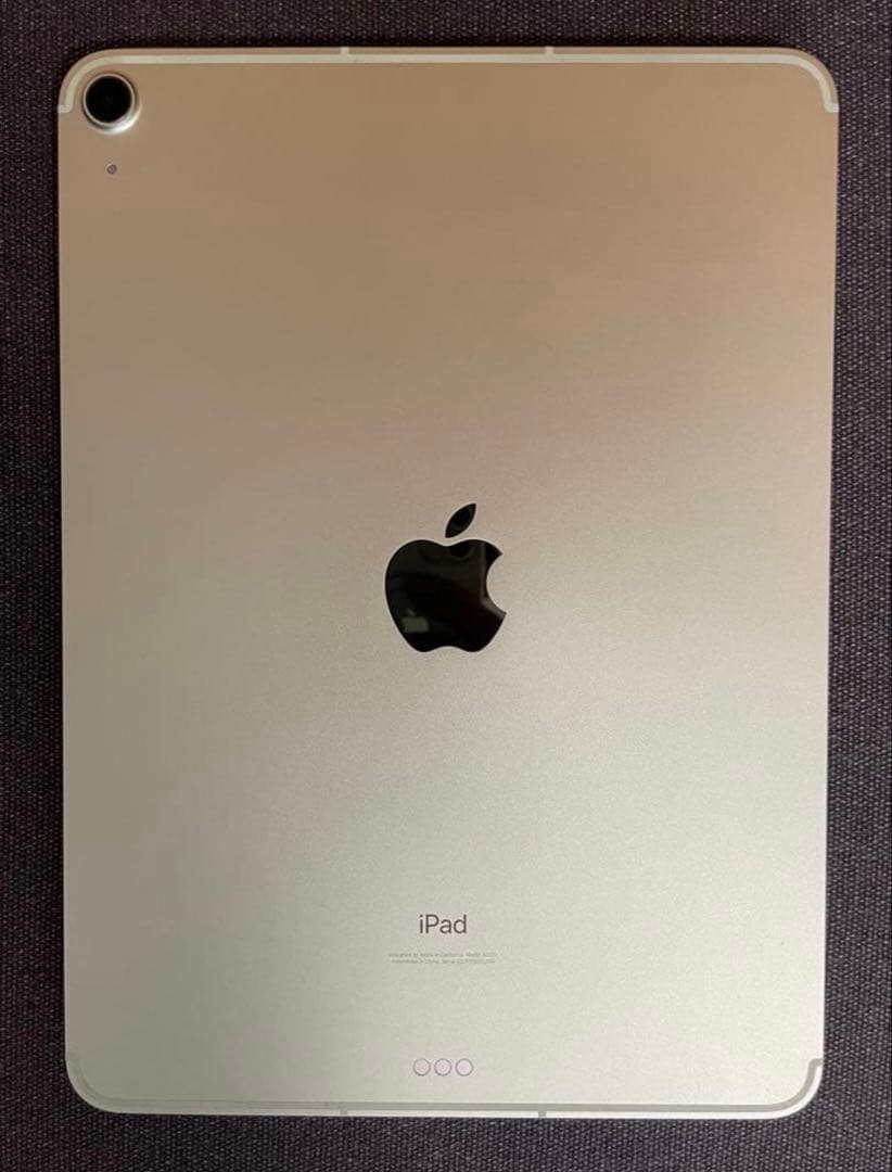 Apple iPad Air 4 本体