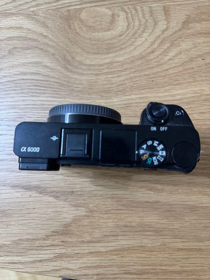 Sony α6000 ミラーレス一眼