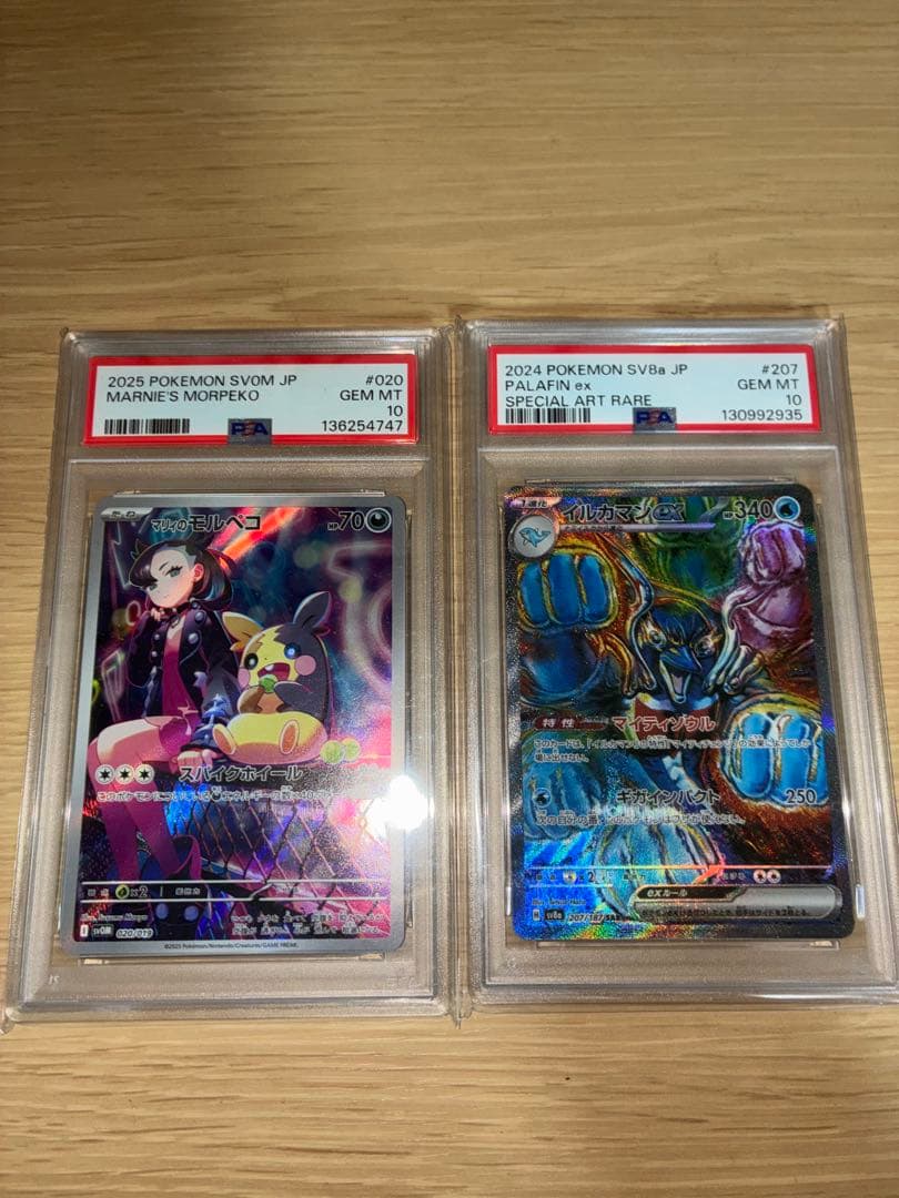 イルカマンex.マリィのモルペコpsa10