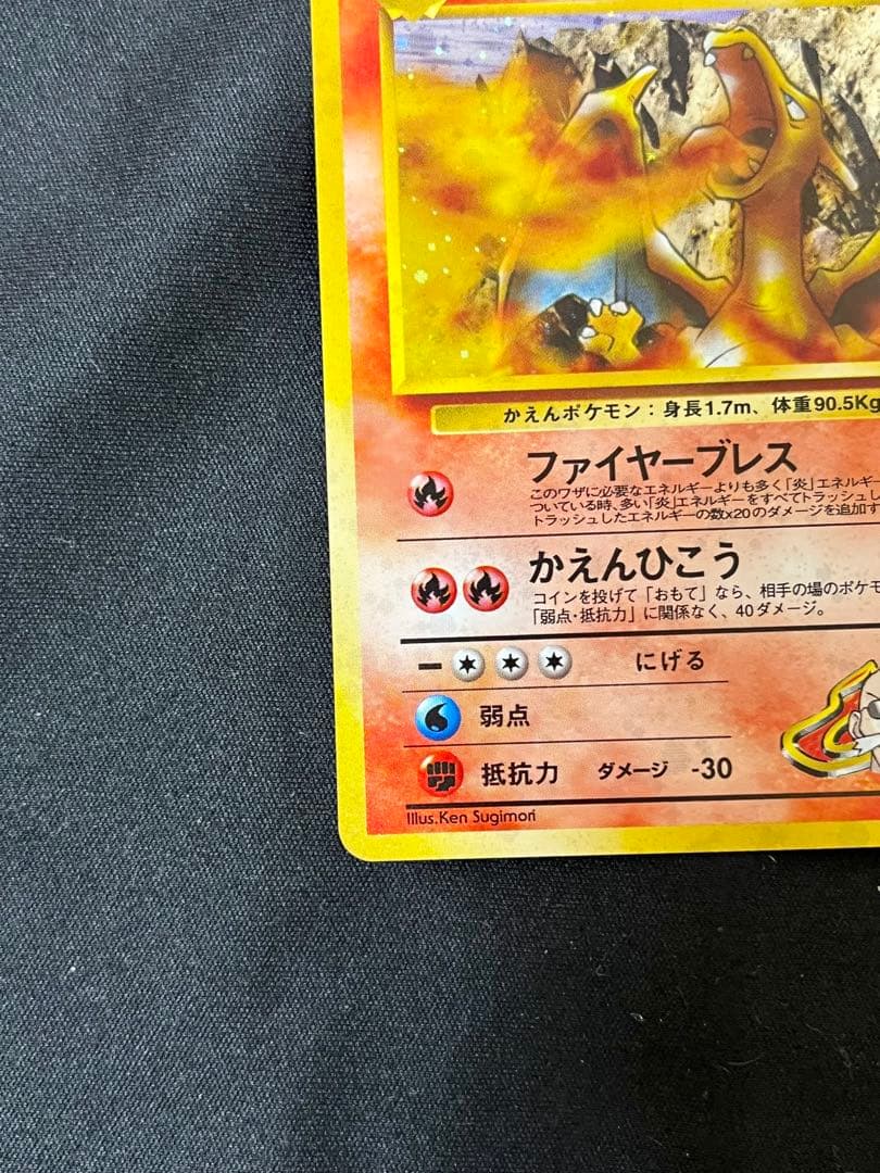 中*迎様 カツラのリザードン