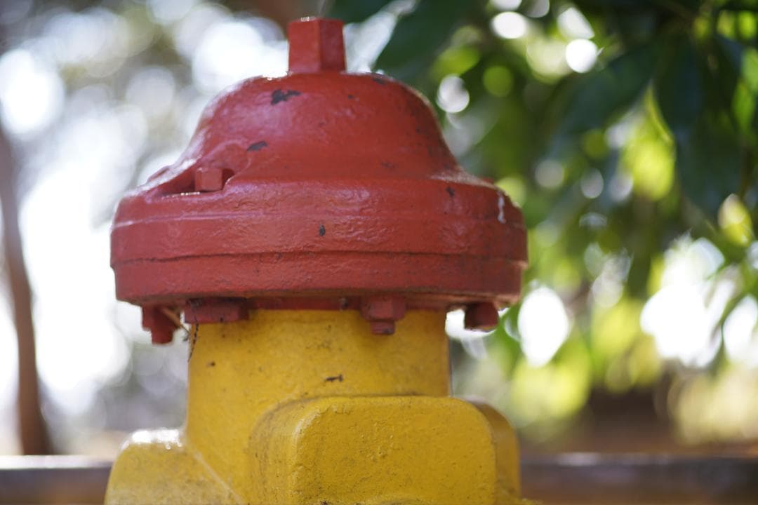 Micro-NIKKOR　105mm　1:2.8　Ai-S　前後キャップ付き