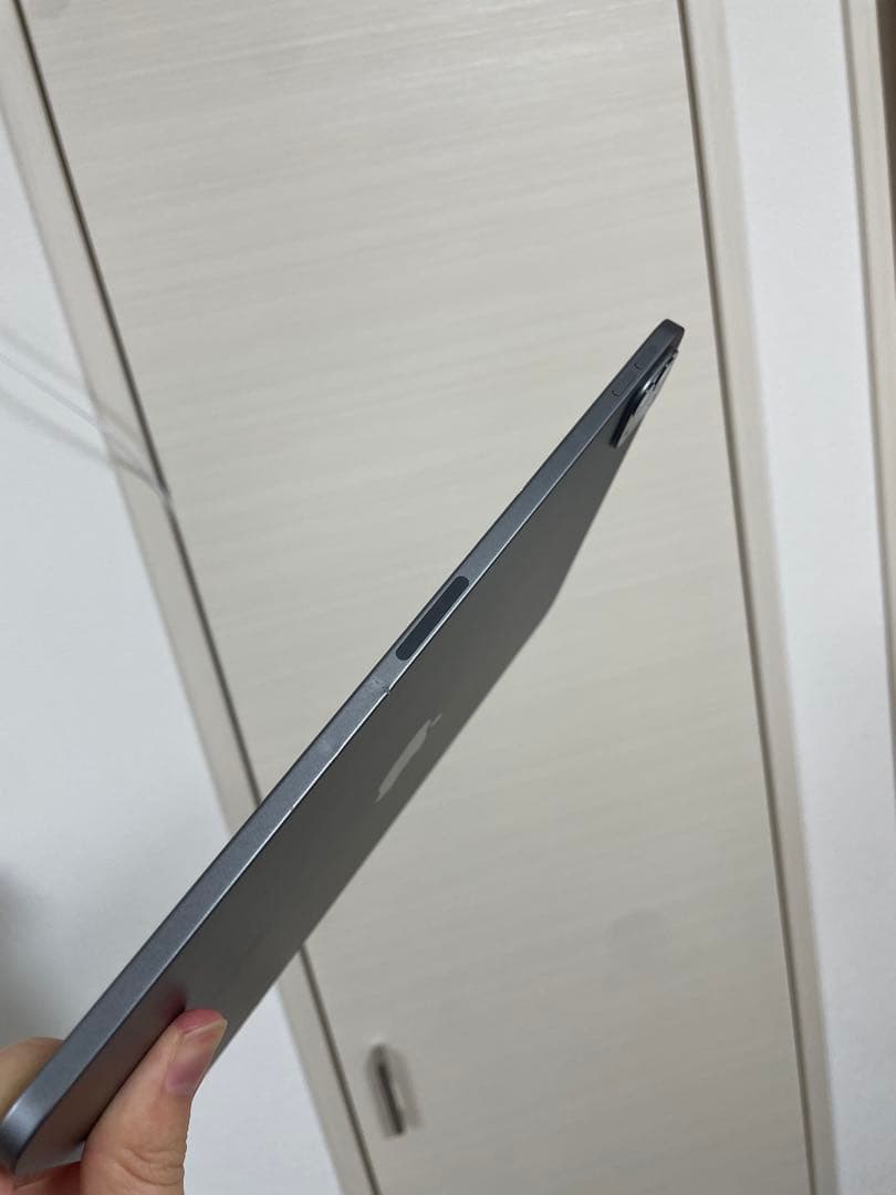 iPad pro 11 第2世代 本体 Apple Pencil第2世代付き