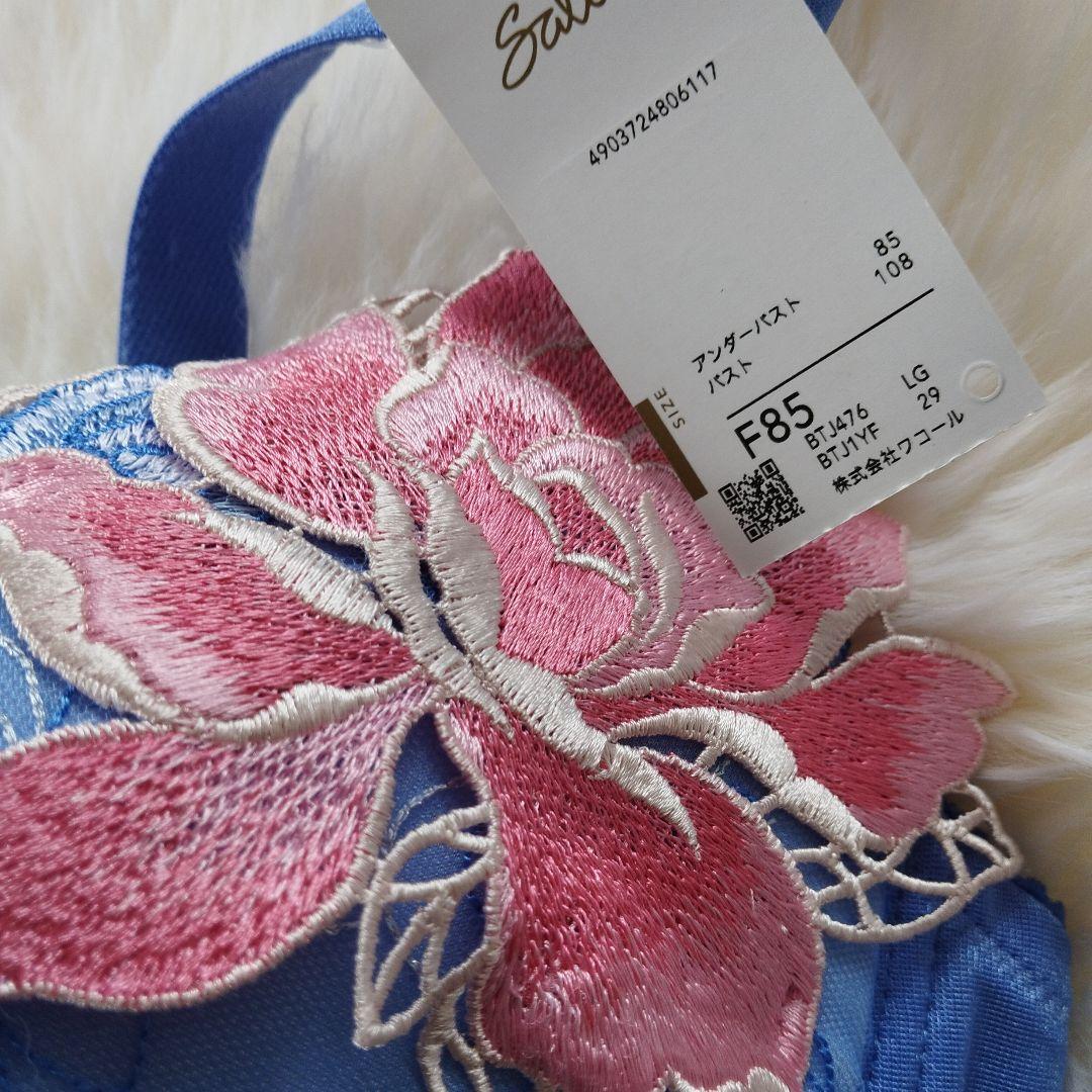 salute サルート　F85　76G　76グループ　LG