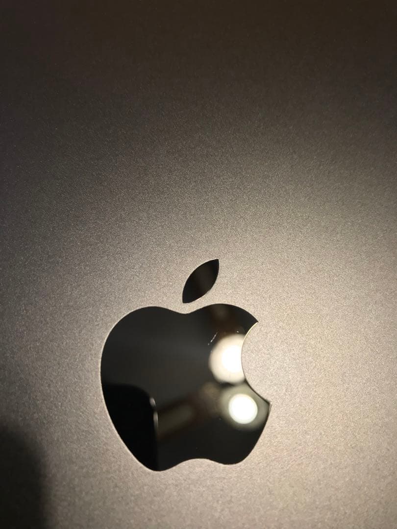 【メモリ16GB】M4 iPad Pro 11インチ 1TB Wi-Fiモデル