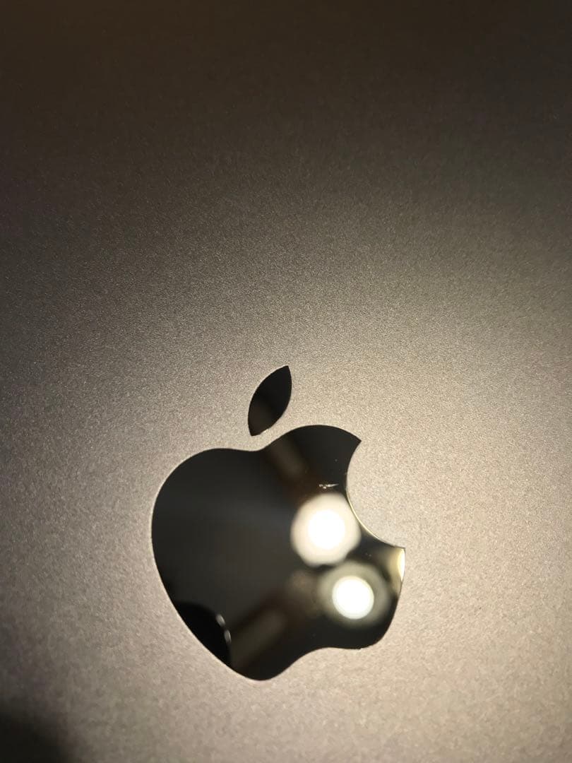 【メモリ16GB】M4 iPad Pro 11インチ 1TB Wi-Fiモデル