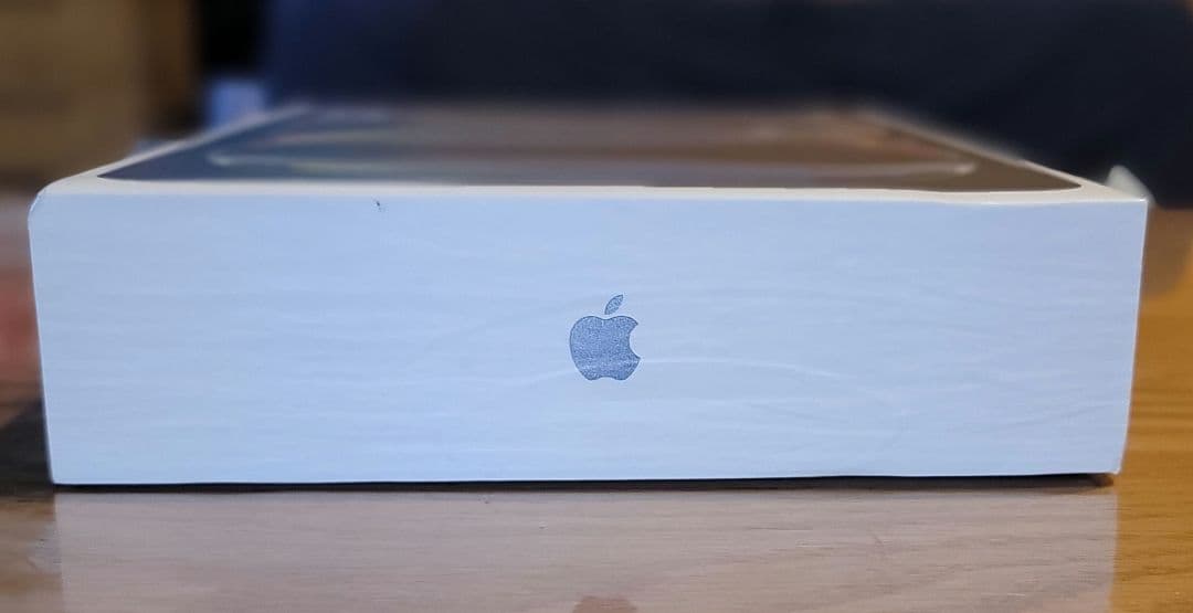 【メモリ16GB】M4 iPad Pro 11インチ 1TB Wi-Fiモデル