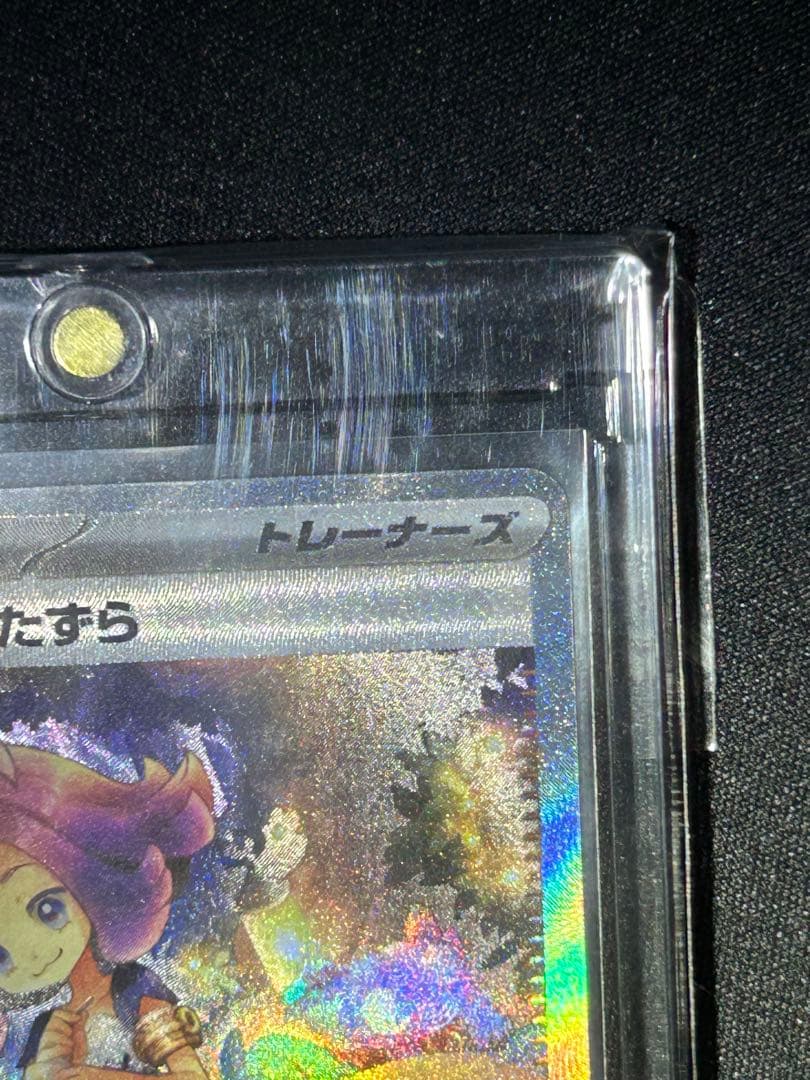 アセロラのいたずらSAR