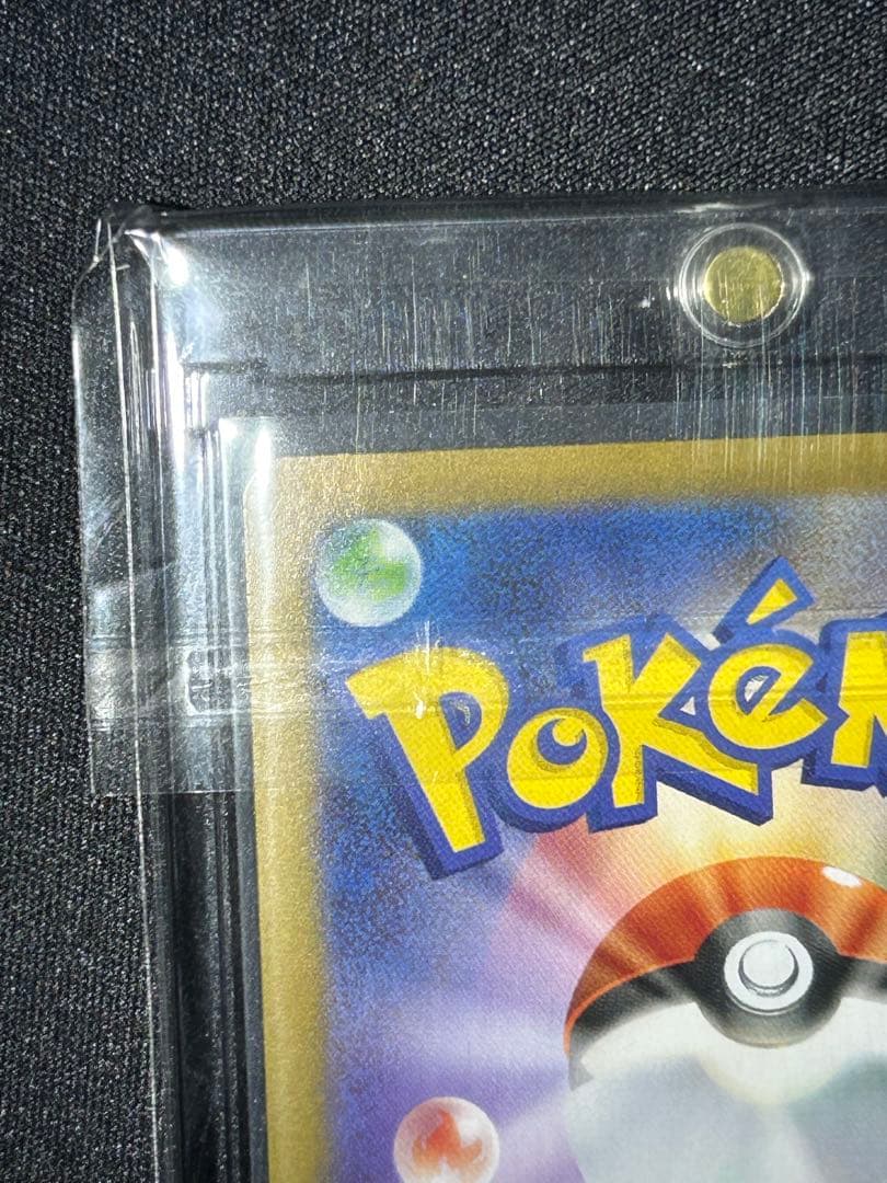 アセロラのいたずらSAR