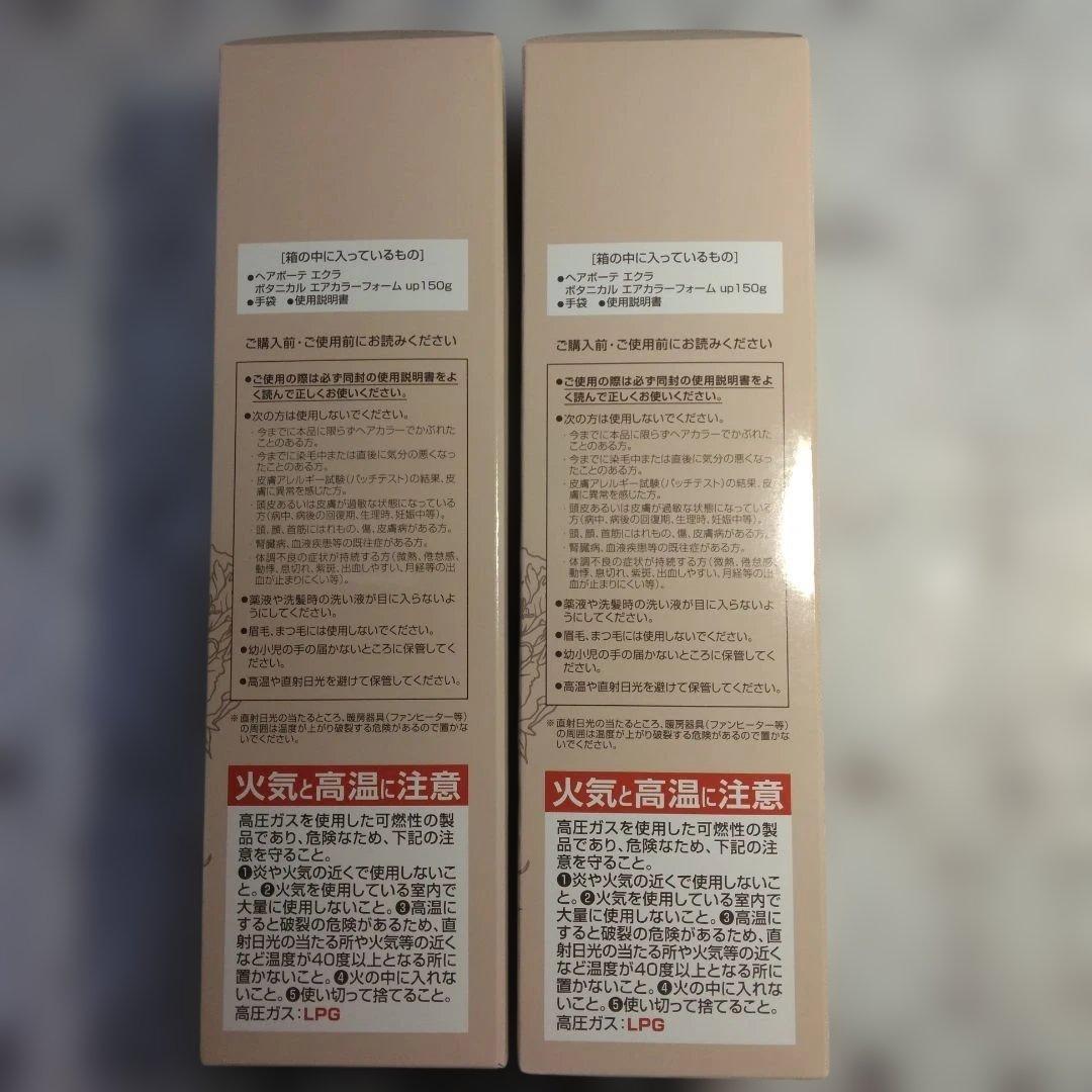 ヘアボーテ エクラ ボタニカルエアカラーフォーム ダークブラウン 2本