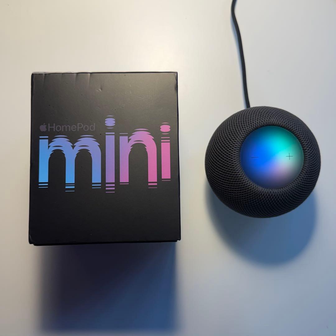 Apple Pod mini スペースグレイ GRAY