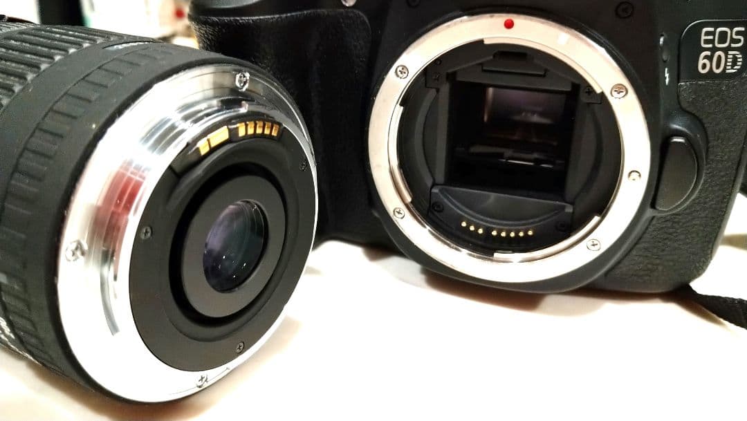 Canon EOS 60D 一眼レフ シグマＬレンズ 充電器付