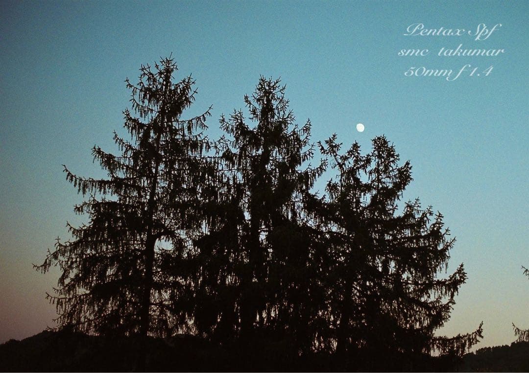 PENTAX SPF （BLACK）／smc f1.4★完動品＊美品＊初期保証付