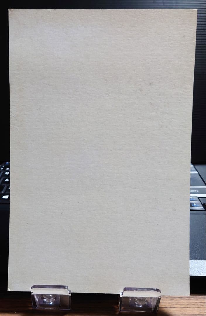 バンダイカードダスワンピース5thフィフスステージ 復活!!バギー&アルビダ台紙