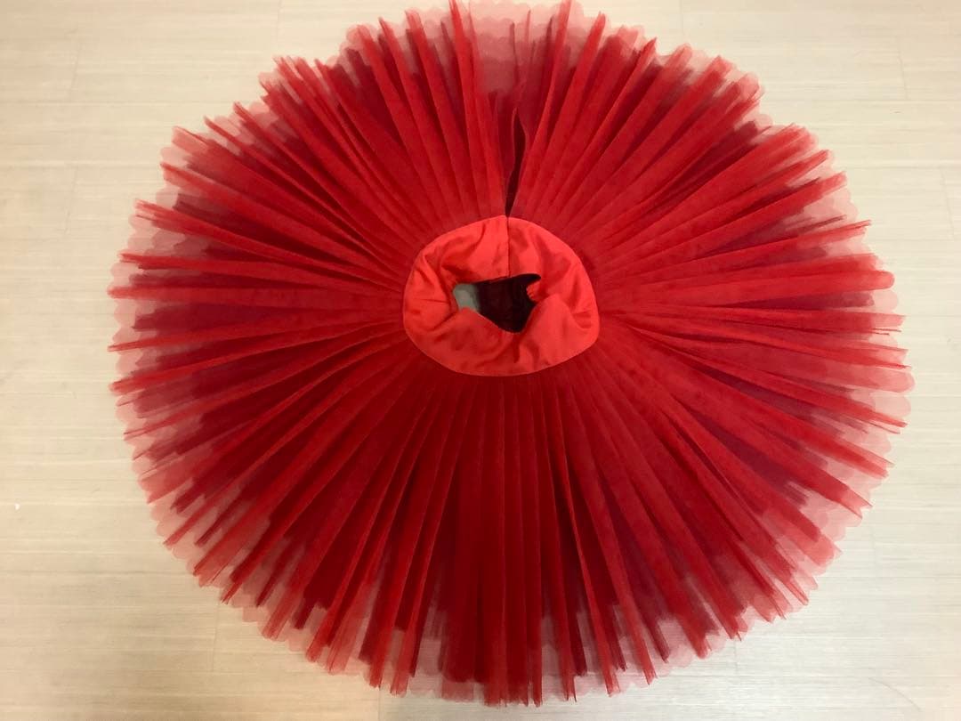 チュチュボン(練習用スカート)