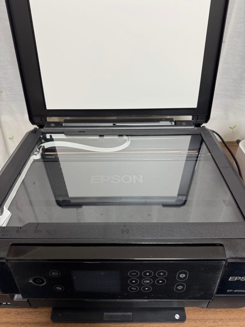 ジャンク品/EPSON EP-810AB プリンター/インク2個付き