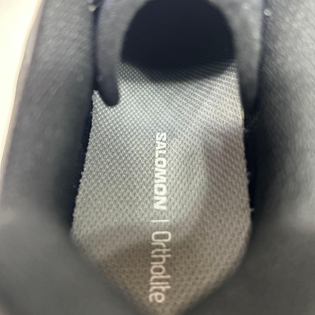 【ほぼ新品】SALOMON XT-6 鯉 限定カラー 人気モデル