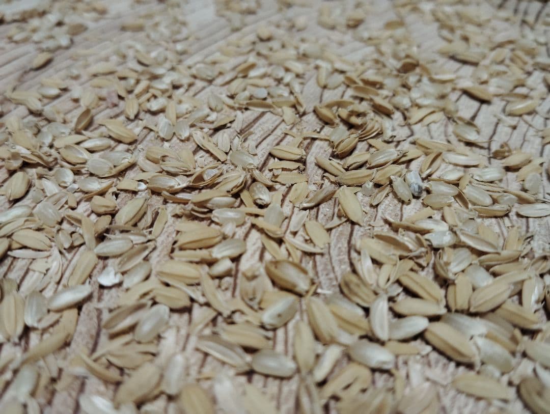 回転式籾擦り機(超大型)