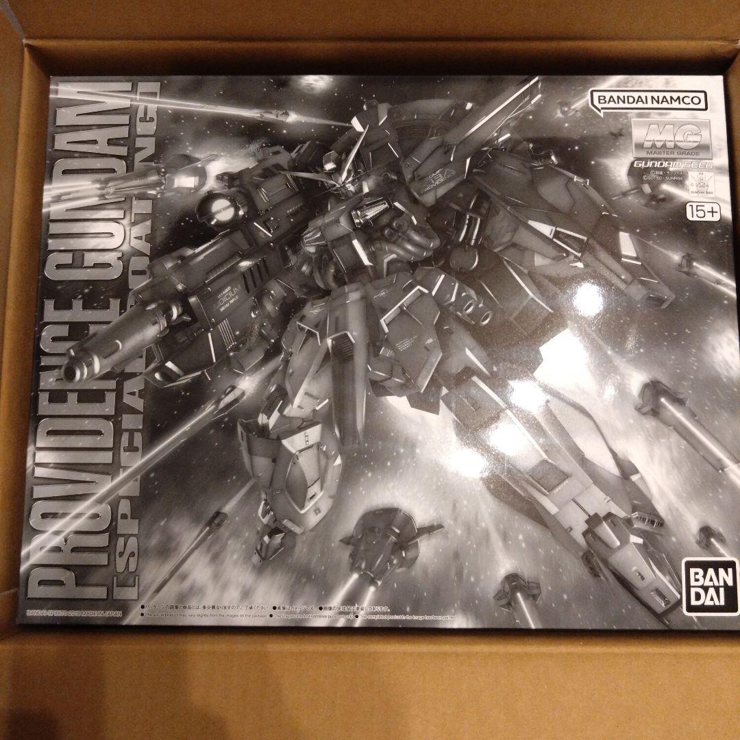 MG 1/100 プロヴィデンスガンダム　スペシャルコーティング