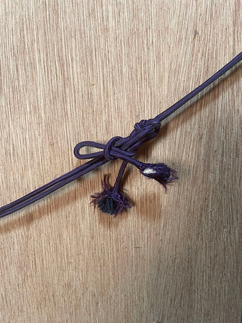 松本零士　『生命』　紫綬褒章受賞記念　300枚限定　銀河鉄道999 メーテル