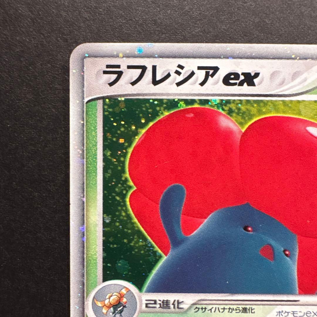 《とと》ラフレシアなど　計7枚