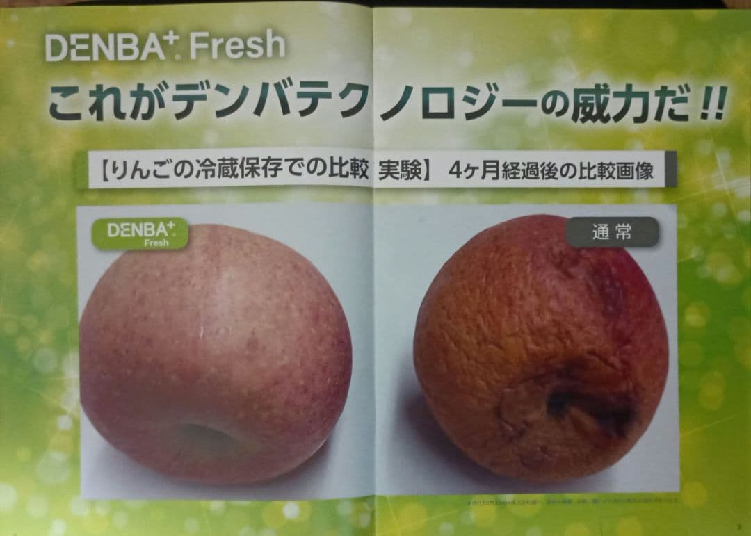 【訳あり新品未使用】DENBA Freshデンバフレッシュ☆多機能鮮度保持装置器