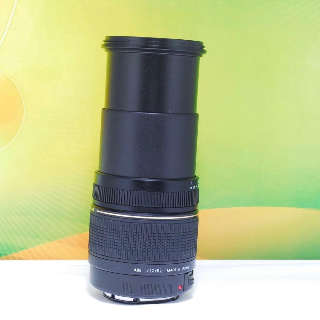 光学クリア✨TAMRON 28-300mm F3.5-6.3 A06 Canon
