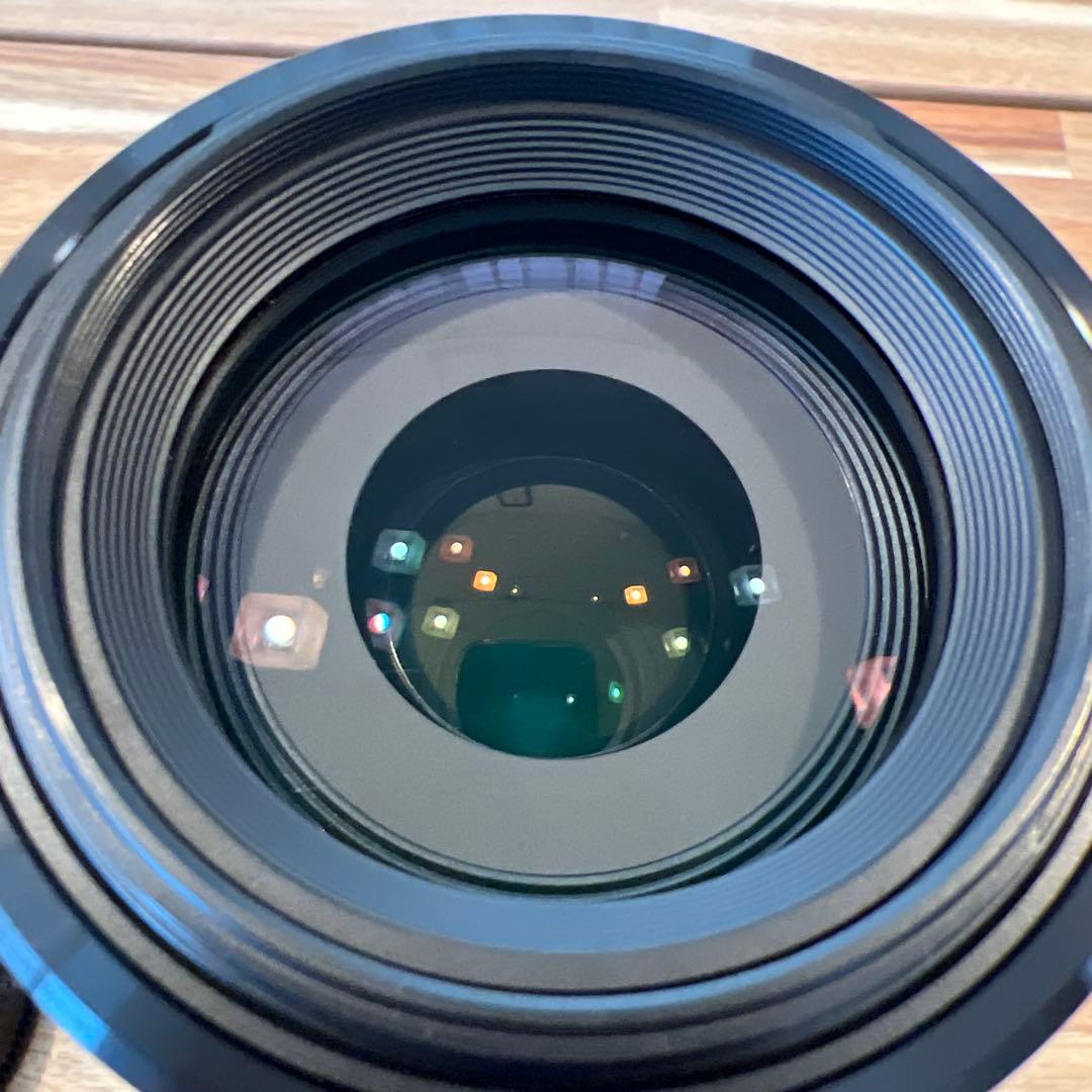 SONY SAL70300G + マウントアダプタLA-EA3