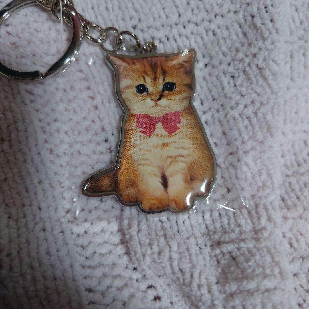 Paul & Joe ポーチ　バッグ　6点