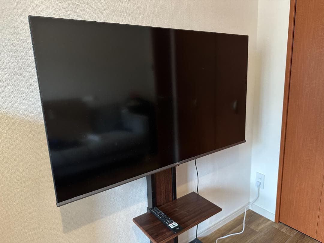 【カメムシ／発送方法修正】テレビ