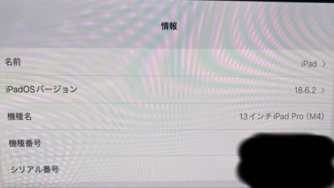 iPad Pro 13インチ256GB M4 Wi-Fi ブラック