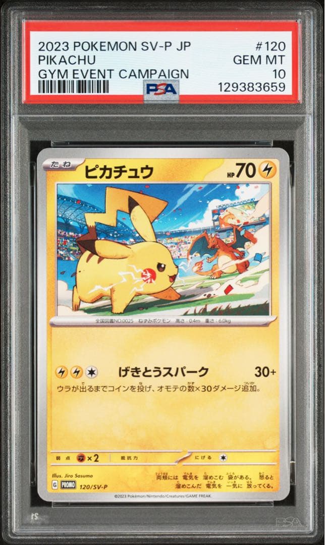 【PSA10 連番】 ピカチュウプロモ げきとうスパーク　2023 & 2024