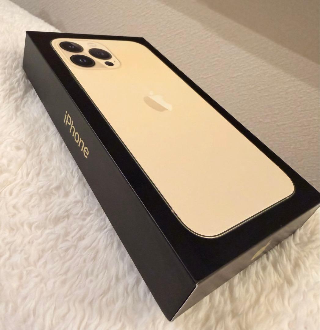 1年使用★バッテリー93%⭐️iPhone 13Pro max⭐️純正急速充電器付き