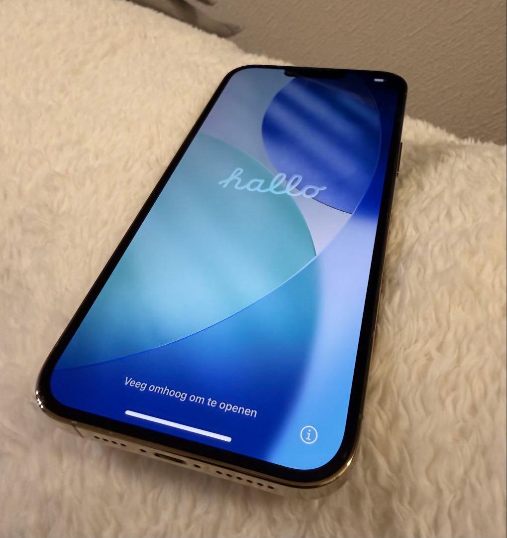 1年使用★バッテリー93%⭐️iPhone 13Pro max⭐️純正急速充電器付き