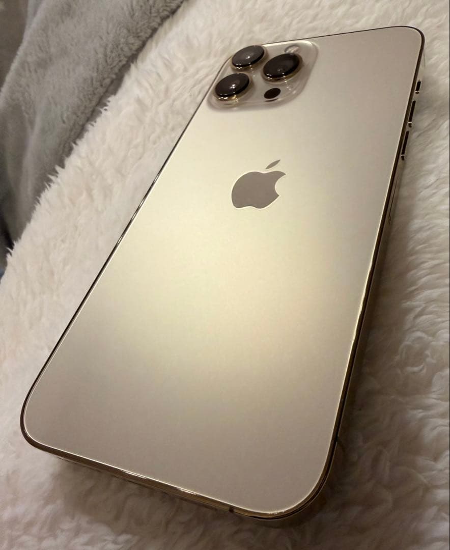 1年使用★バッテリー93%⭐️iPhone 13Pro max⭐️純正急速充電器付き