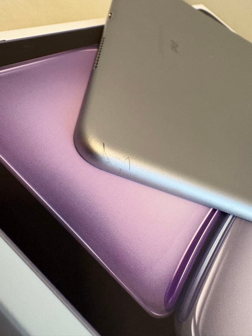 【即日発送】美品iPad Pro(A1709) 64GB