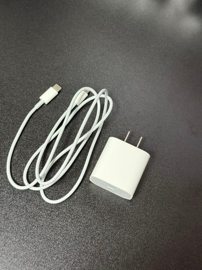 iPad Air2 Wi-Fiモデル