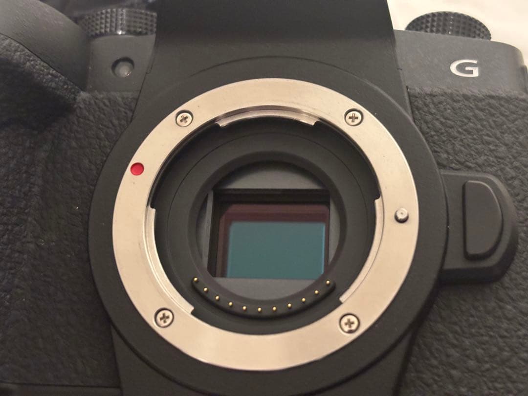 即日発送！美品　LUMIX G99 ミラーレスカメラ