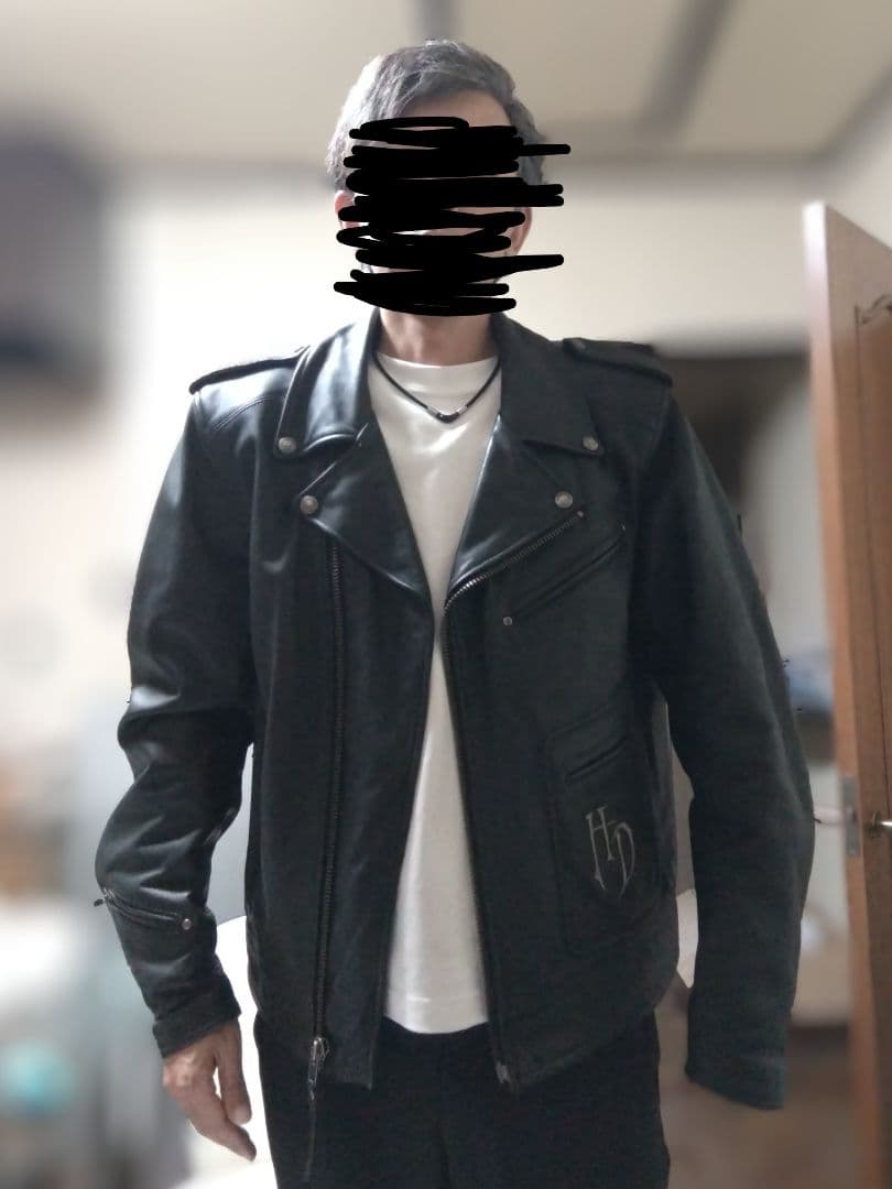 定価11.8万円 ハーレーダビッドソン スカルウィング刺繍 ダブルライダース