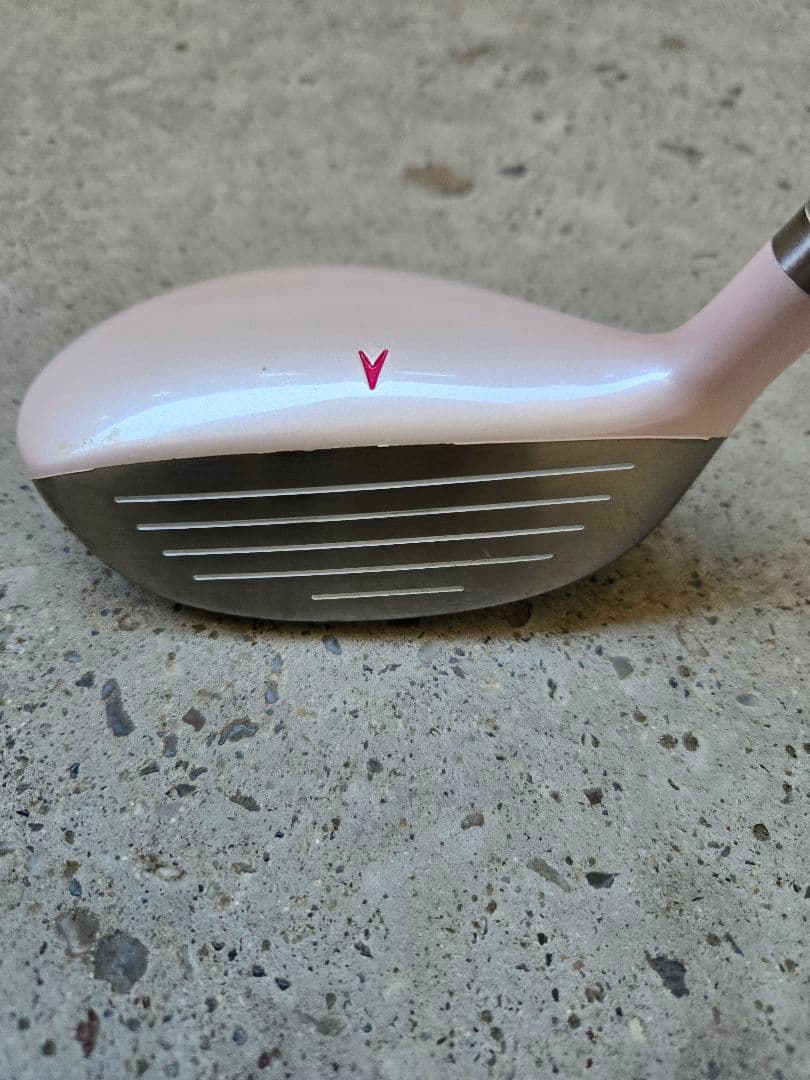 IGNIO　イグニオ　レディースゴルフ10本セット　FLEX-L　初心者ゴルフ