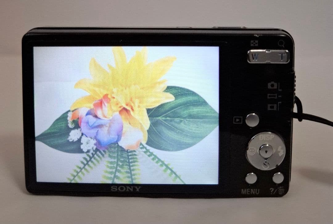 ソニー SONY Cyber-Shot DSC-W560 コンデジ