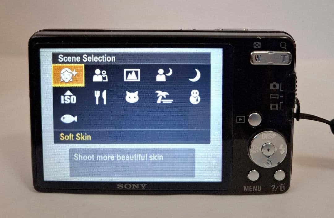 ソニー SONY Cyber-Shot DSC-W560 コンデジ