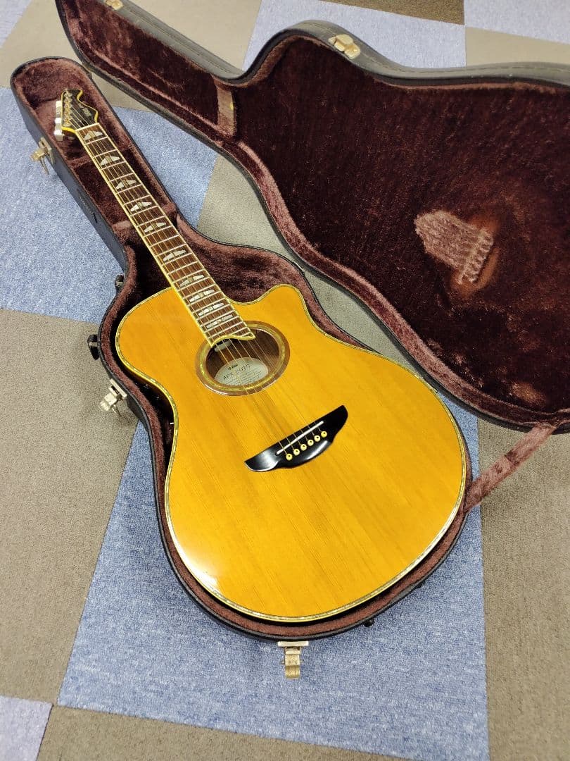 YAMAHA APX20TS アコースティック(エレアコ)ギター,ハードケース付