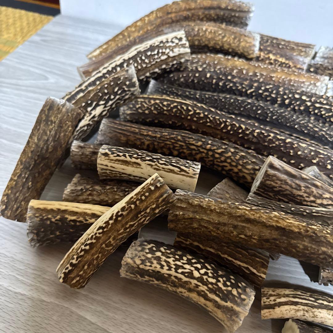 鹿の角　端材Ｂ　ハンドメイド用
