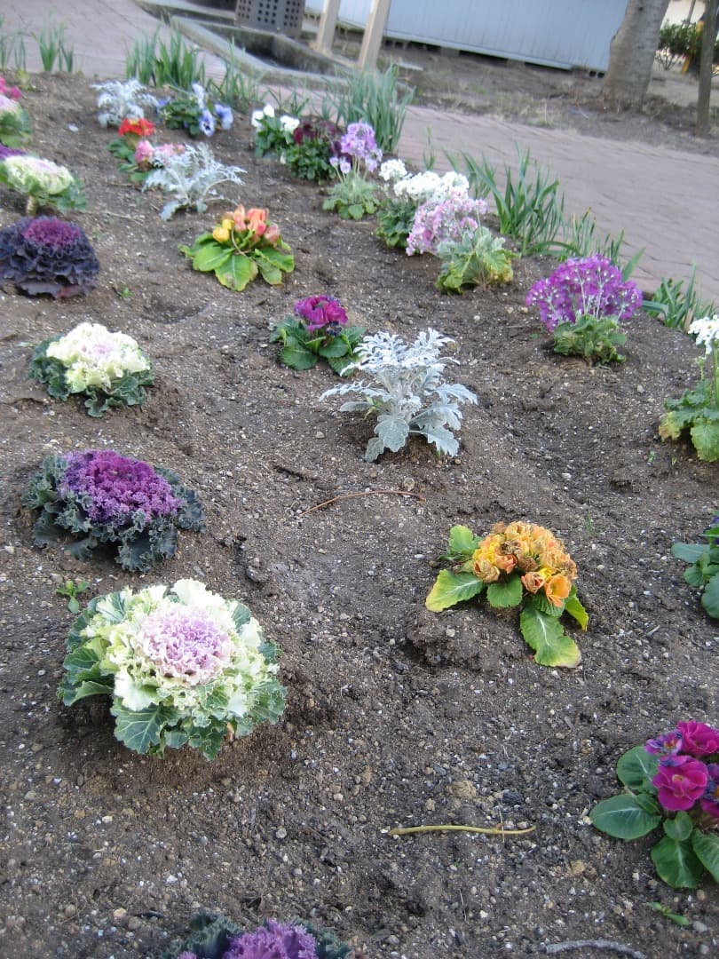 実写美⭕️美品【動作確認済】Canon　IXY　DIGITAL 70 PC1193