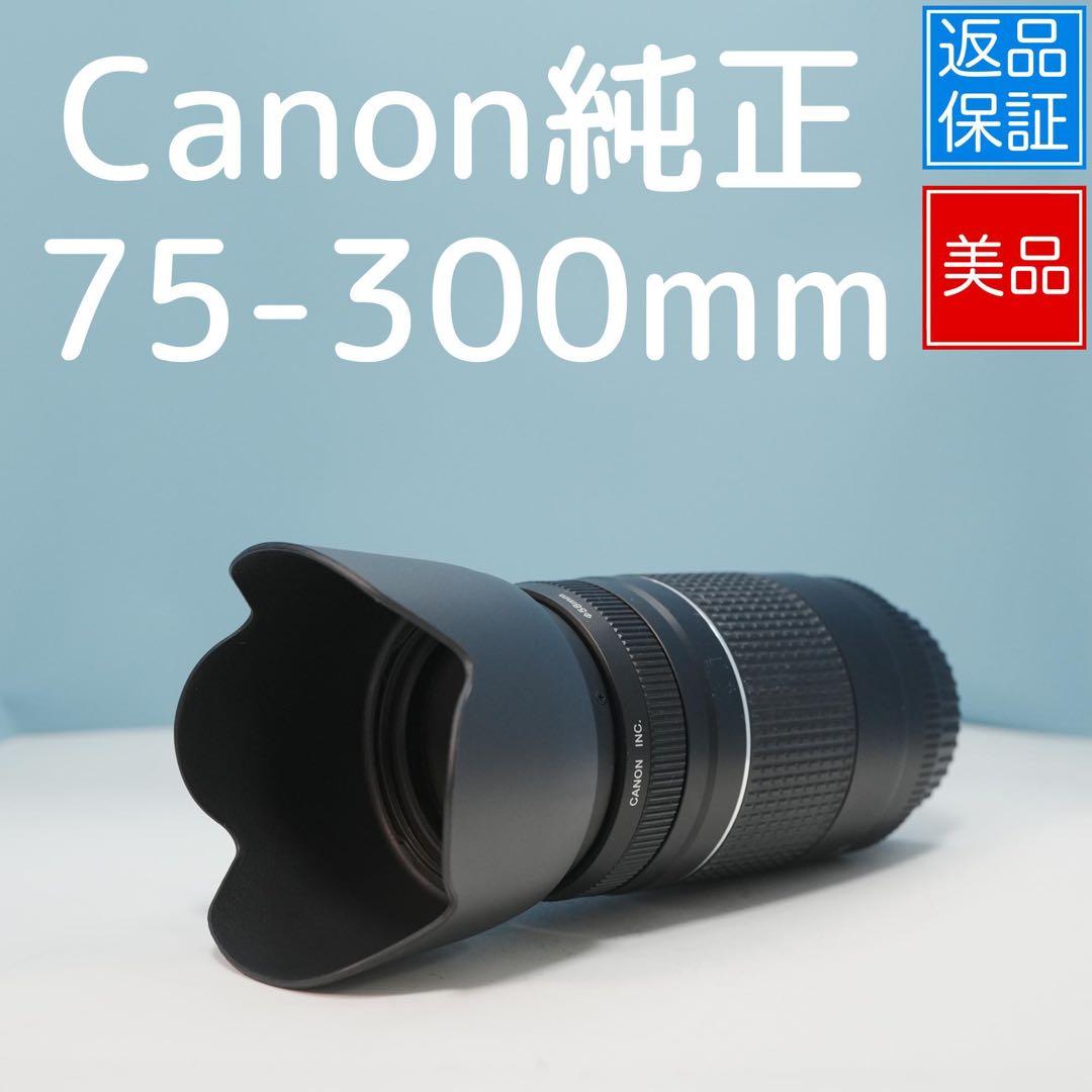 Canon純正 75-300mm 望遠レンズ 極美品 a4580