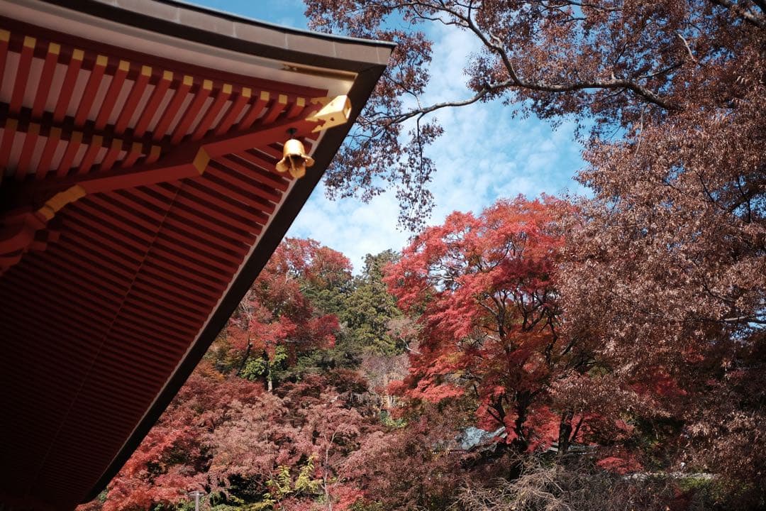 い*ら様 FUJIFILM X-T1 ボディのみ 富士フイルム ブラック オール