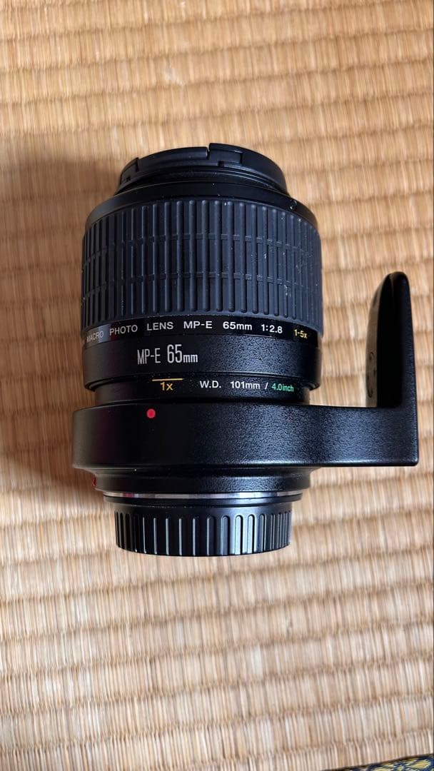 キャノン　Canon MP-E 65mm F2.8 1-5Xマクロフォト