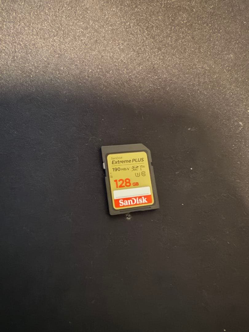 デジタルカメラ LUMIX DC-G100V