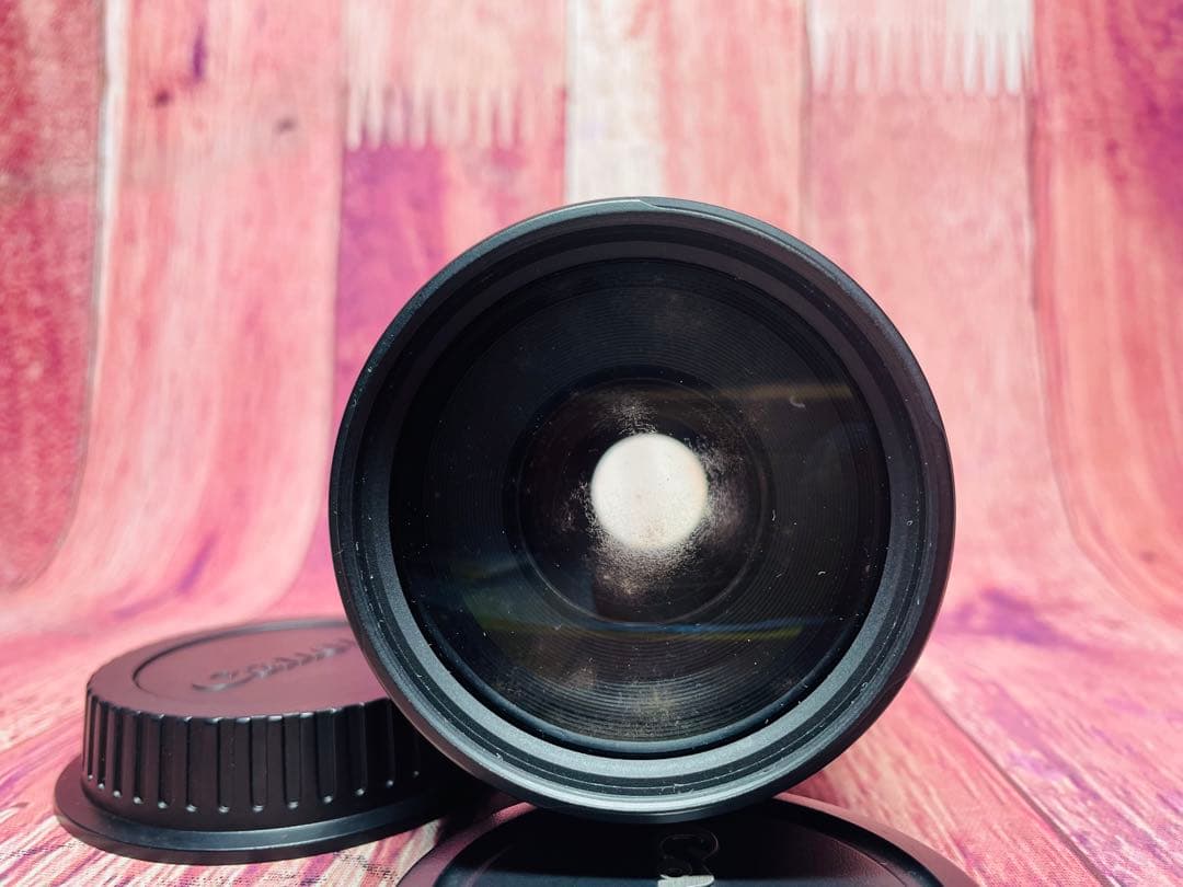 Canon キャノン EF 75-300 1:4-5.6 Ⅱ